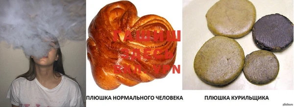 бошки Няндома