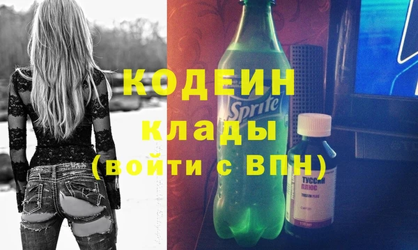 бошки Няндома