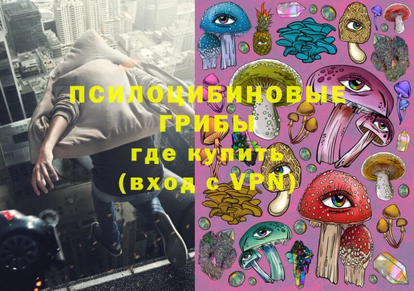 шишки Вязники