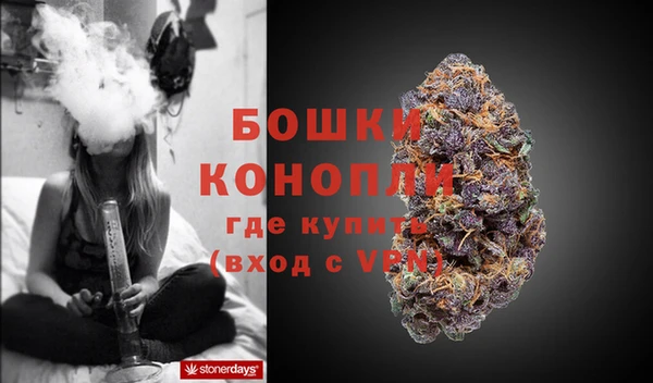 бошки Няндома