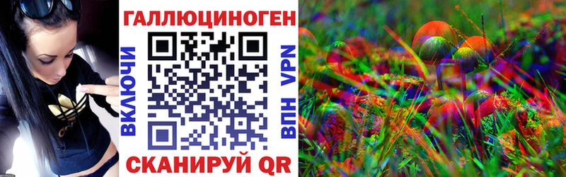 купить   Кемь  Галлюциногенные грибы Cubensis 